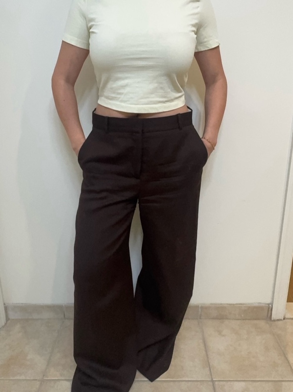 Aritzia Wide Leg Pants in Brown Like New